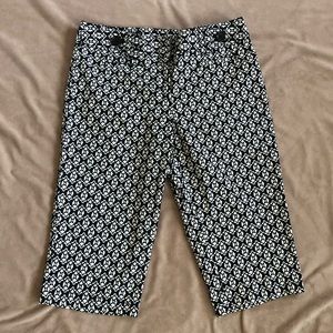 Ann Taylor Margo Bermuda Shorts 4 Petite